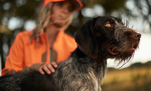 Lady in orange hat & jacket with black & gray dog outside