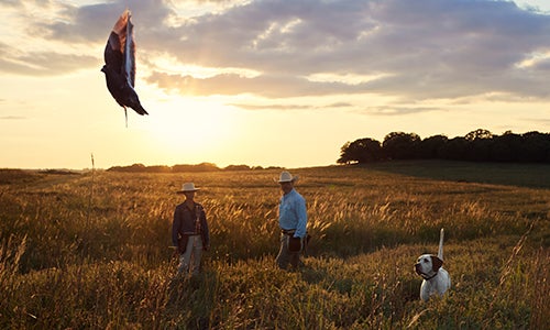 Hunting dog & two people in a field