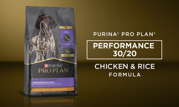 Purina Pro Plan Veterinary Diets OM Select Blend Overweight Management Dry Dog  Food | PetFlow