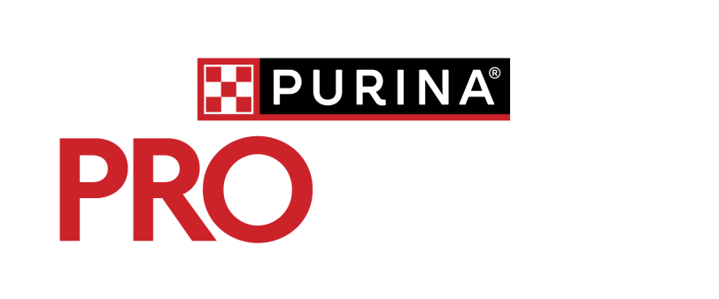 Pro Club Logo