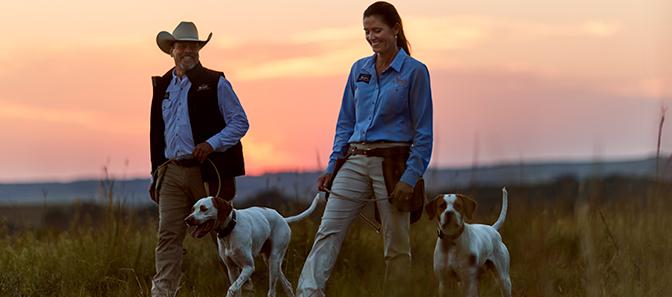 A man in a cowboy hat and a woman in a blue shirt walk two dogs on leashes through a grassy field at sunset, creating a warm, peaceful outdoor scene.