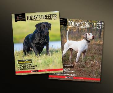 a couple of Today’s Breeder magazines with dogs on them