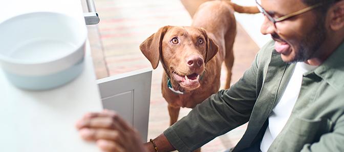 man smiling and getting something from cabinet for dog