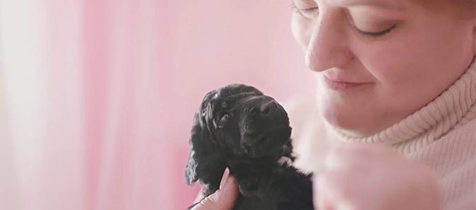 woman holding black puppy