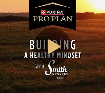 BuildingAHealthyMindset