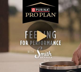 Smith Kennels Training: Feeding for Performance