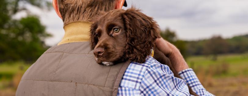 Person holding a dog - Detect Cancer in Dogs