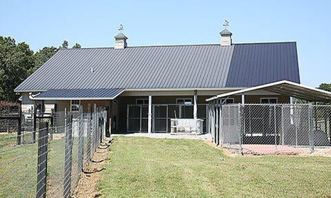 Eastern fence clearance dog kennel