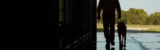 silhouette of man walking with dog on a leash