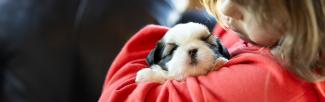 little girl in red sweater holding small puppy